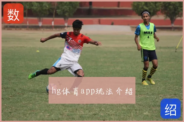 hg体育app玩法介绍